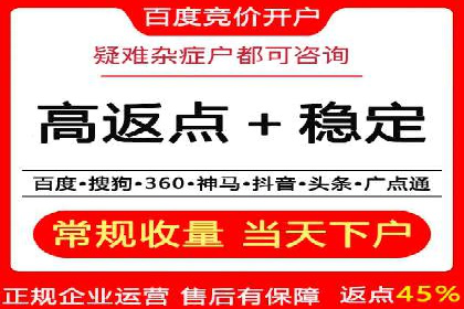 SEM广告投放中的数据监控与调整策略——以某品牌营销案例为例